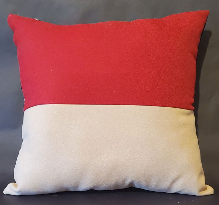 The Cozy Pillow